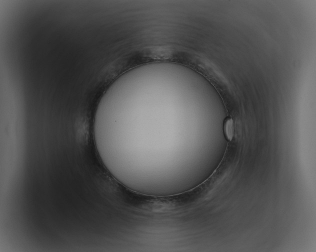X0000101120697200807101543