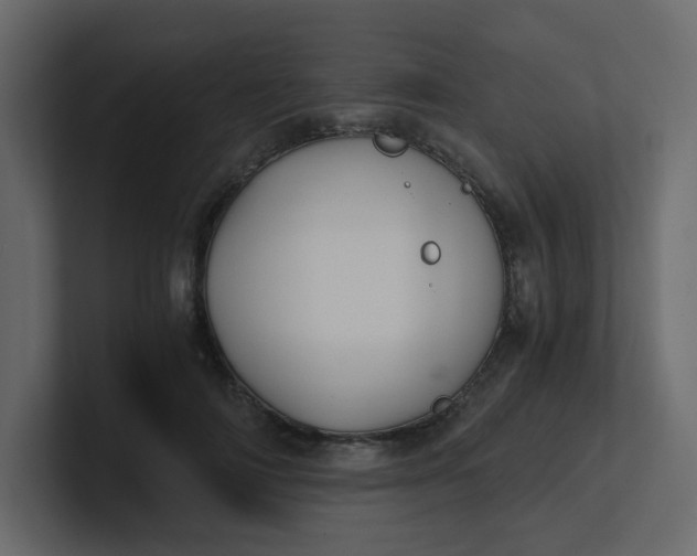 X0000101120698200807101543