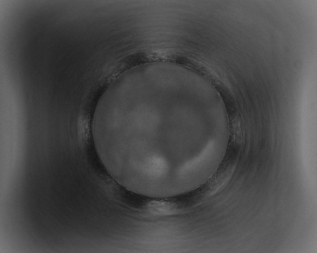 X0000101120699200807101543