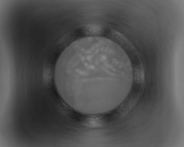 X0000101120701200807101543