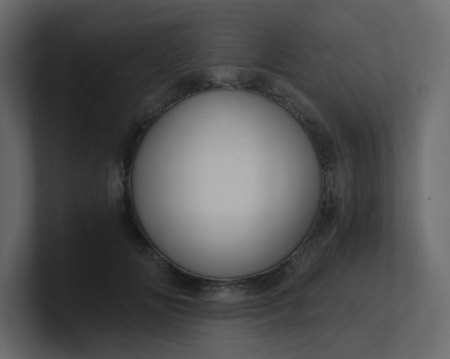 X0000101120702200807101543