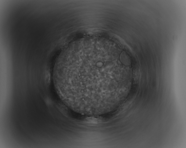 X0000101120703200807101543