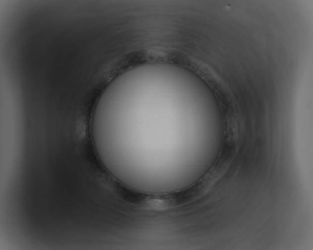 X0000101120706200807101543