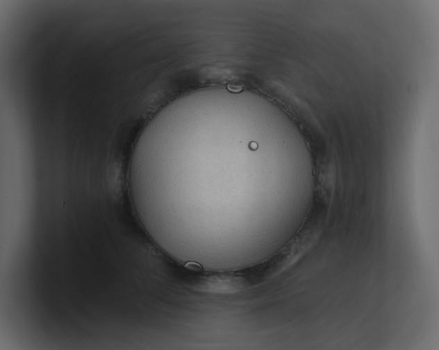 X0000101120708200807101543