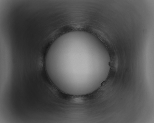 X0000101120710200807101543