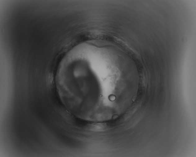 X0000101120711200807101543