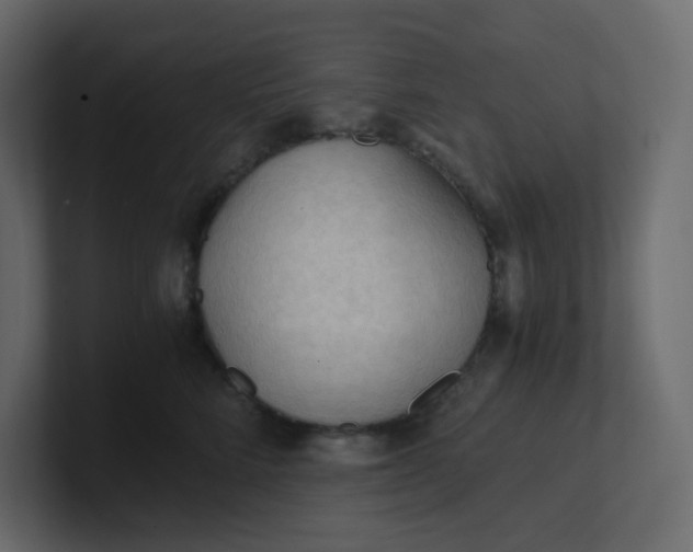 X0000101120712200807101543