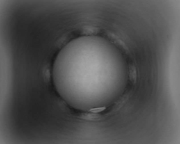 X0000101120716200807101543