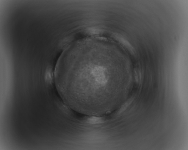 X0000101120718200807101543