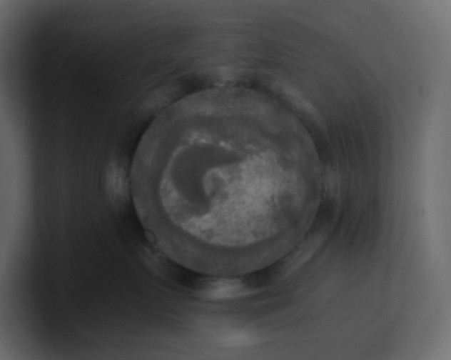 X0000101120719200807101543