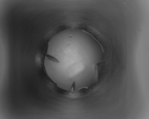X0000101120720200807101543