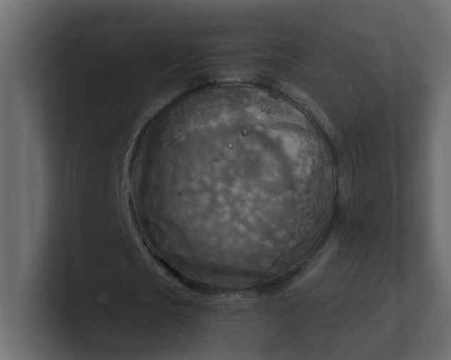 X0000101120721200807101542