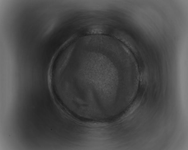 X0000101120722200807101542