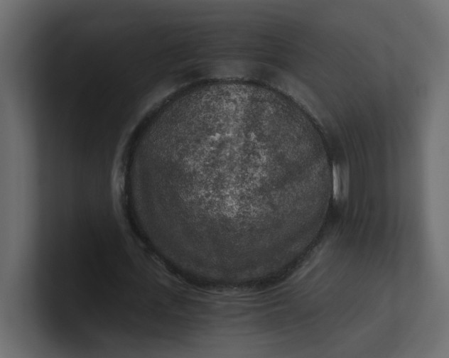 X0000101120723200807101542