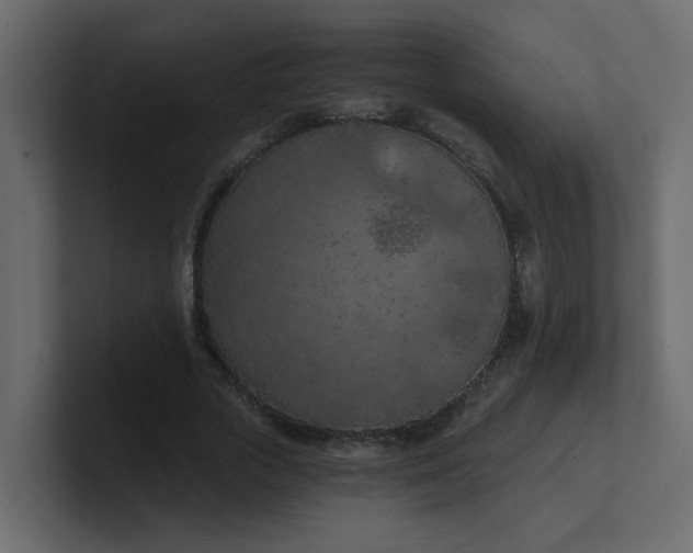 X0000101120729200807101542