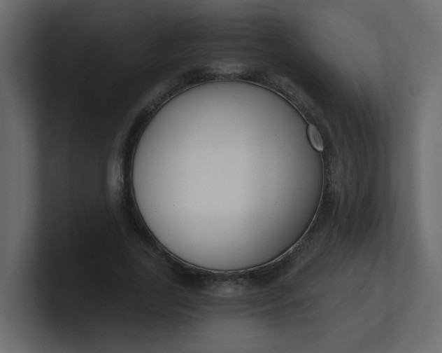 X0000101120731200807101542