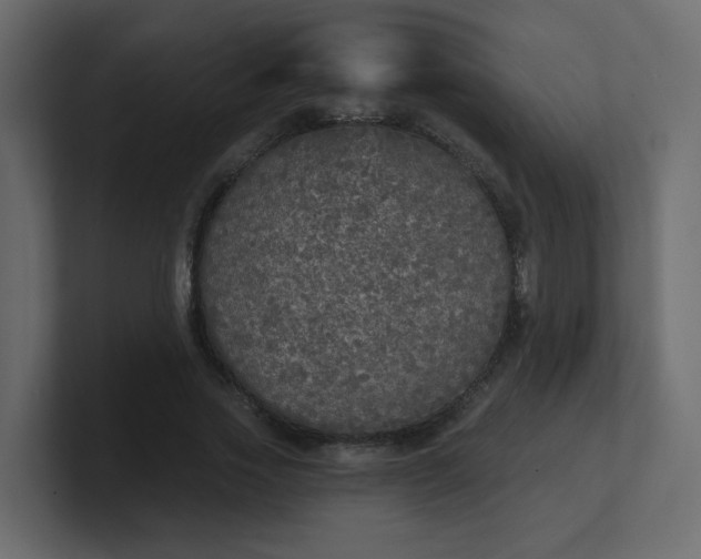 X0000101120733200807101542