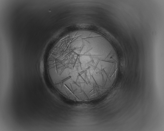 X0000101120734200807101542