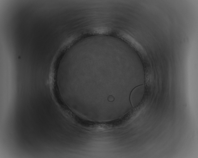 X0000101120736200807101542