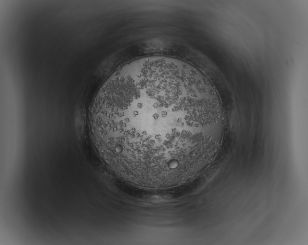 X0000101120737200807101542