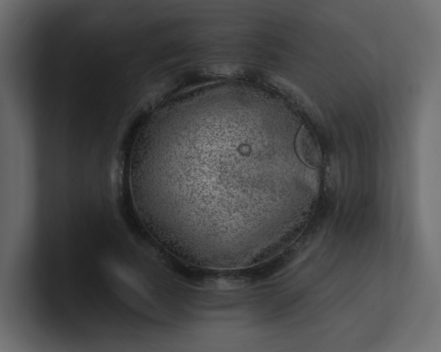 X0000101120739200807101542
