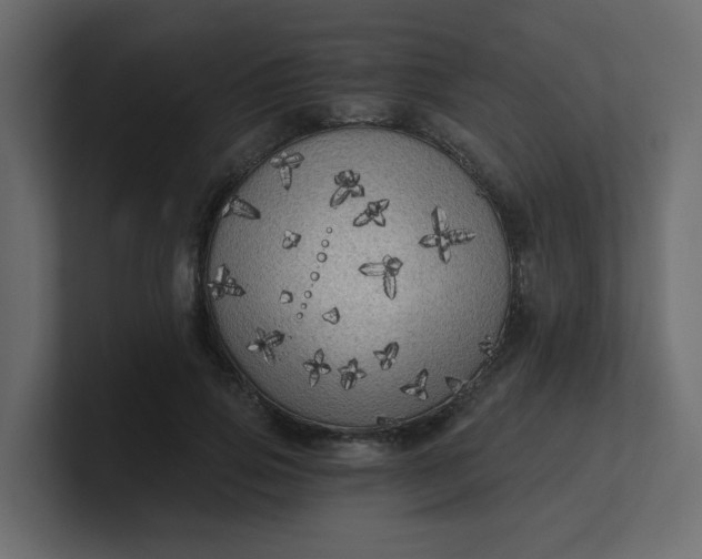X0000101120741200807101542