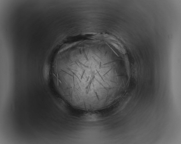 X0000101120742200807101542