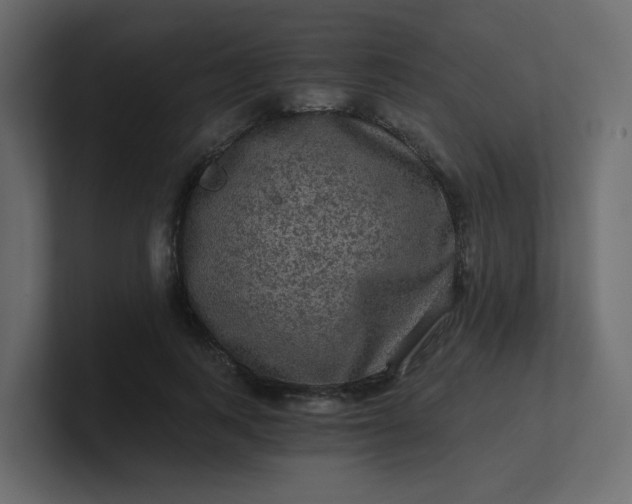 X0000101120743200807101542