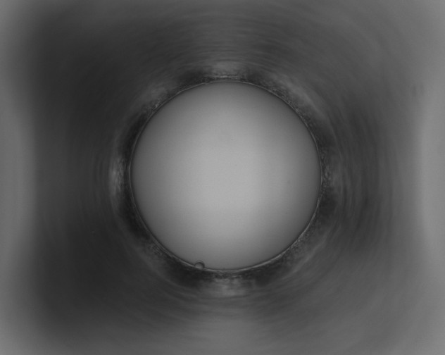 X0000101120744200807101542