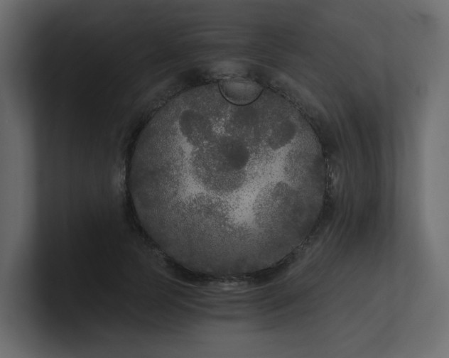 X0000101120745200807101542