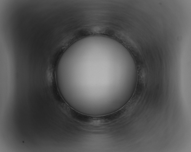 X0000101120746200807101542