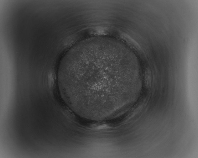 X0000101120747200807101542