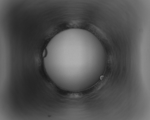 X0000101120751200807101542