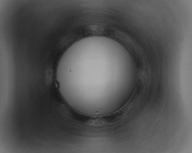 X0000101120752200807101542