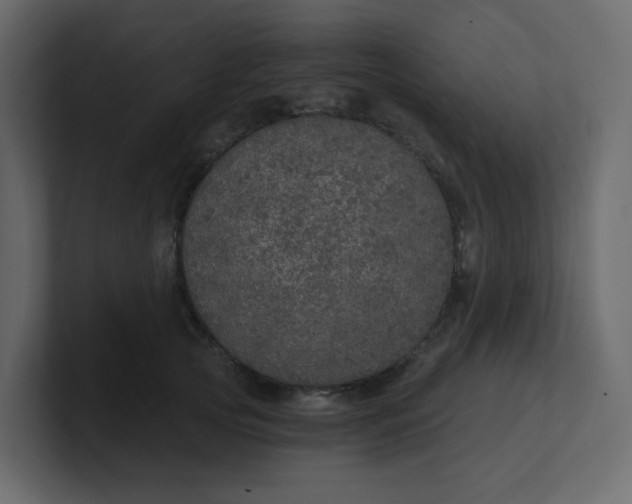 X0000101120753200807101542