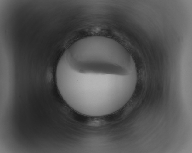 X0000101120754200807101543