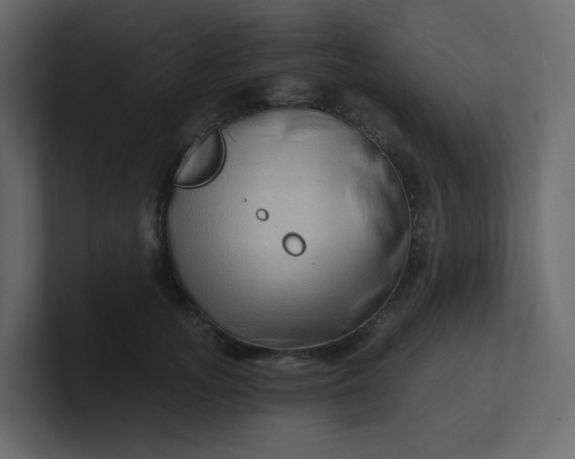 X0000101120755200807101543