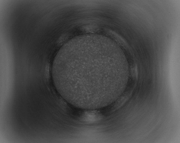 X0000101120757200807101543
