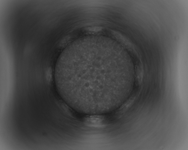 X0000101120758200807101543