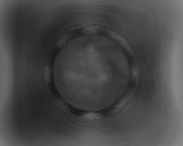 X0000101120759200807101543
