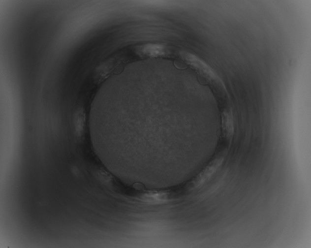 X0000101120760200807101543