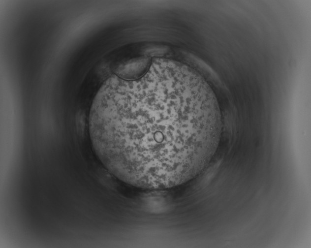 X0000101120761200807101543
