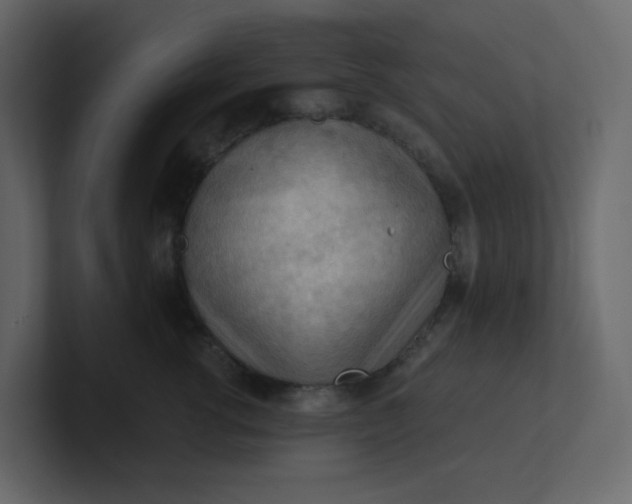 X0000101120762200807101543