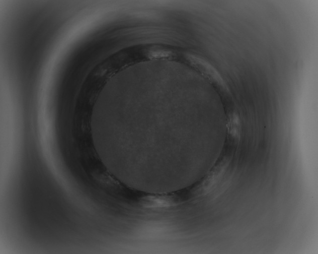 X0000101120763200807101543
