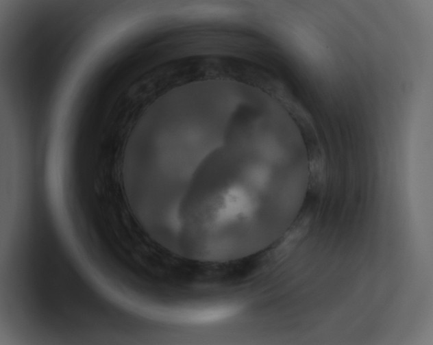 X0000101120765200807101543