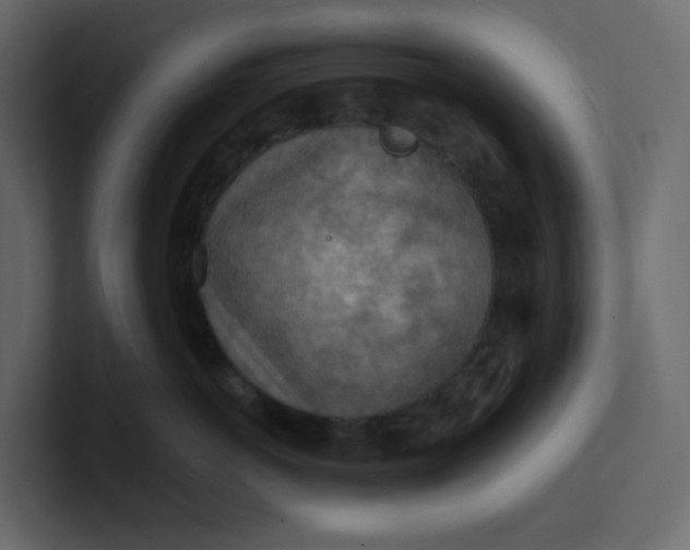 X0000101120766200807101543