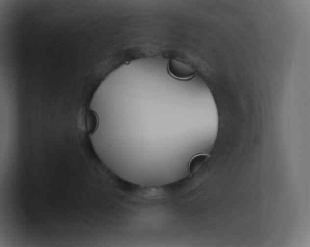 X0000101120768200807101543