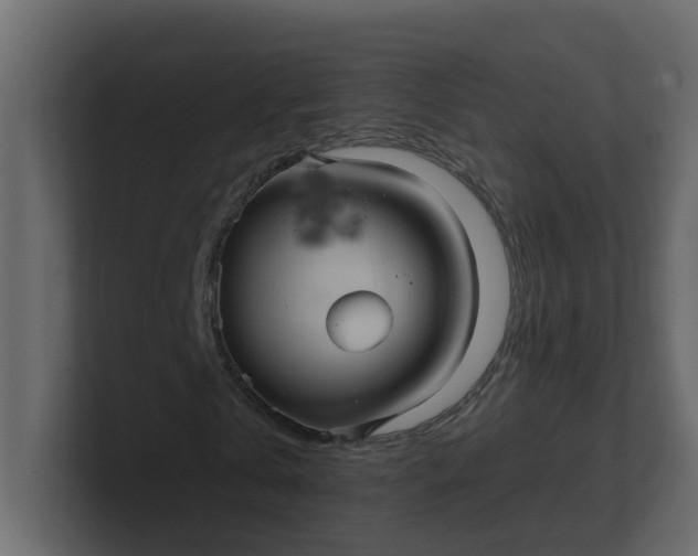 X0000101120769200807101542