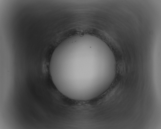 X0000101120770200807101542