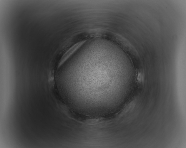 X0000101120771200807101542